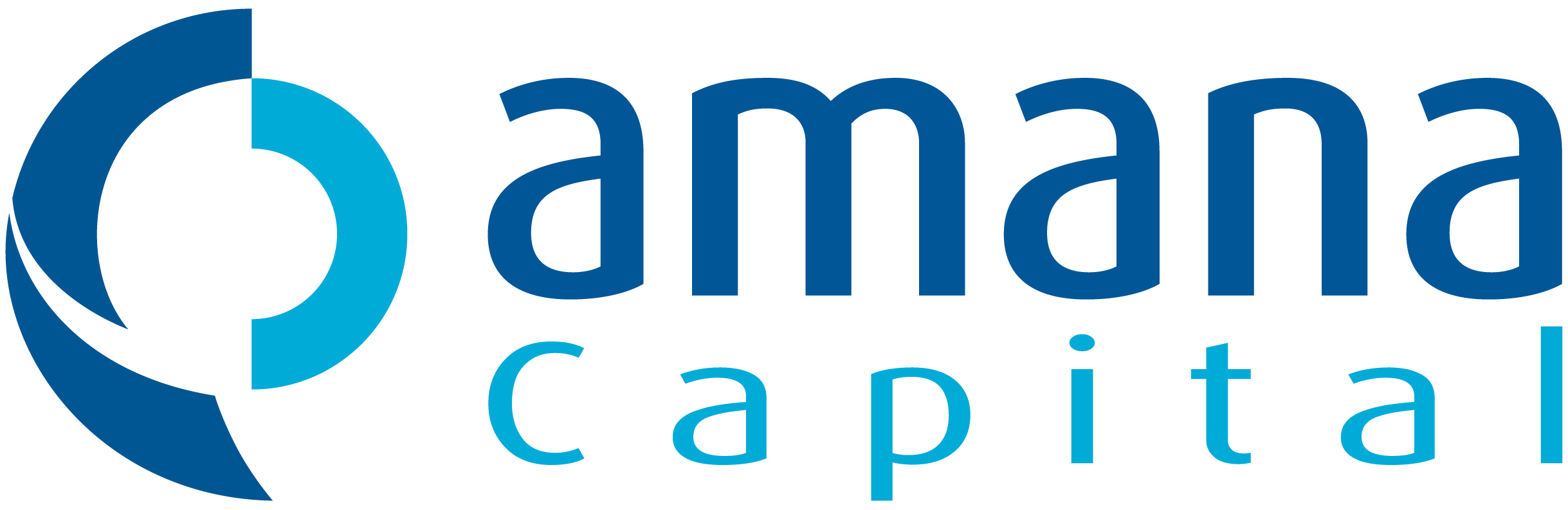 logo sal
